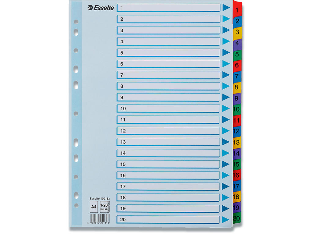 Registerblade, A4, 1-20, Flerfarvet, Esselte Mylar 
