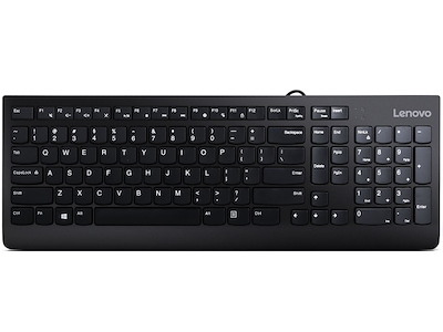 Lenovo 300 tastatur Universel USB QWERTY US engelsk Sort