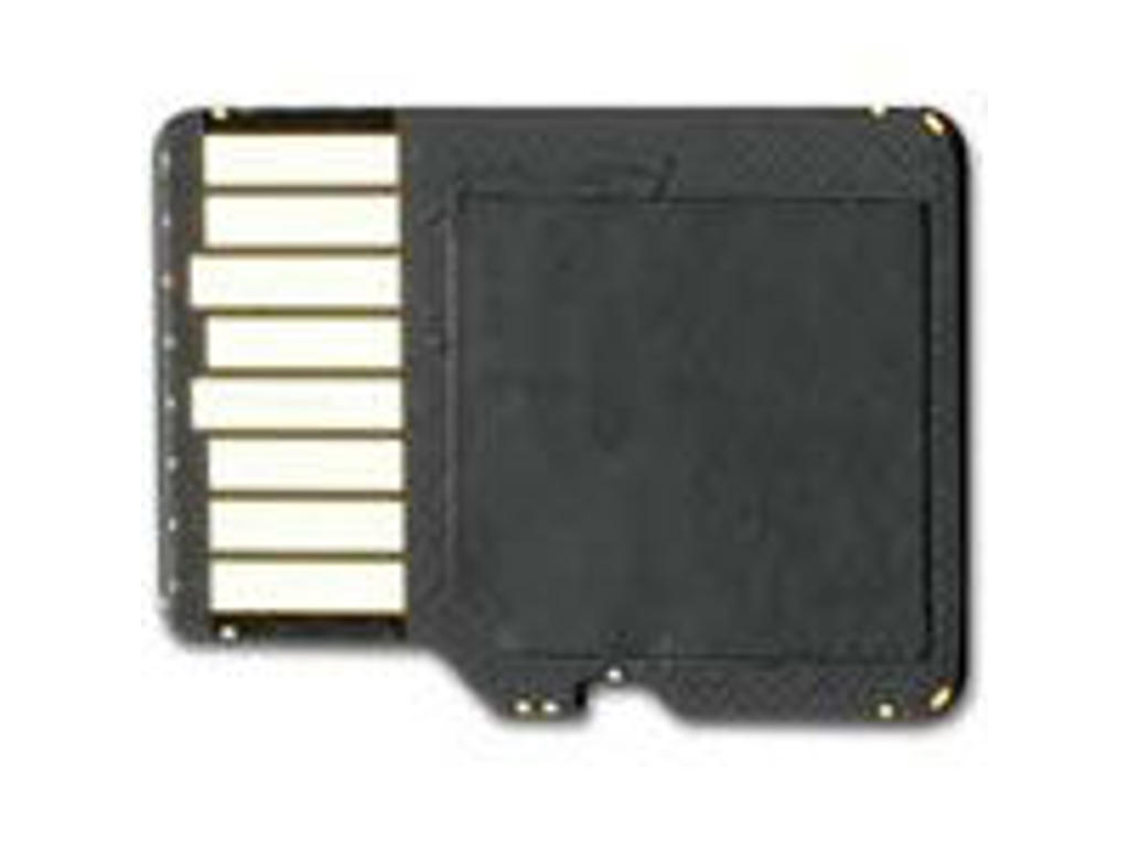 Garmin 4GB microSD