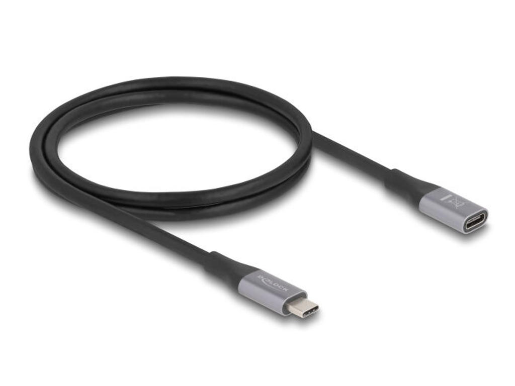 DeLOCK 81201 USB-kabel USB4 Gen 2x2 1 m USB C Sort, Grå
