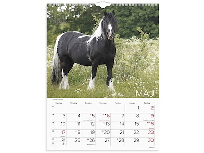 Vægkalender, 2027, Heste, 1 måned pr. opslag, Mayland