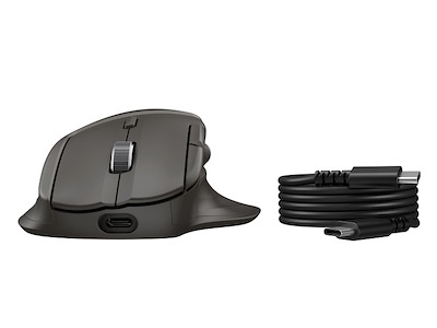 HP Ultra-Fast-Scroll Wireless Mouse 785M