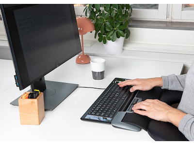 Ergonomisk mus, Rullestav, Med håndledsstøtte, Sort-grå, Mousetrapper Delta Extended