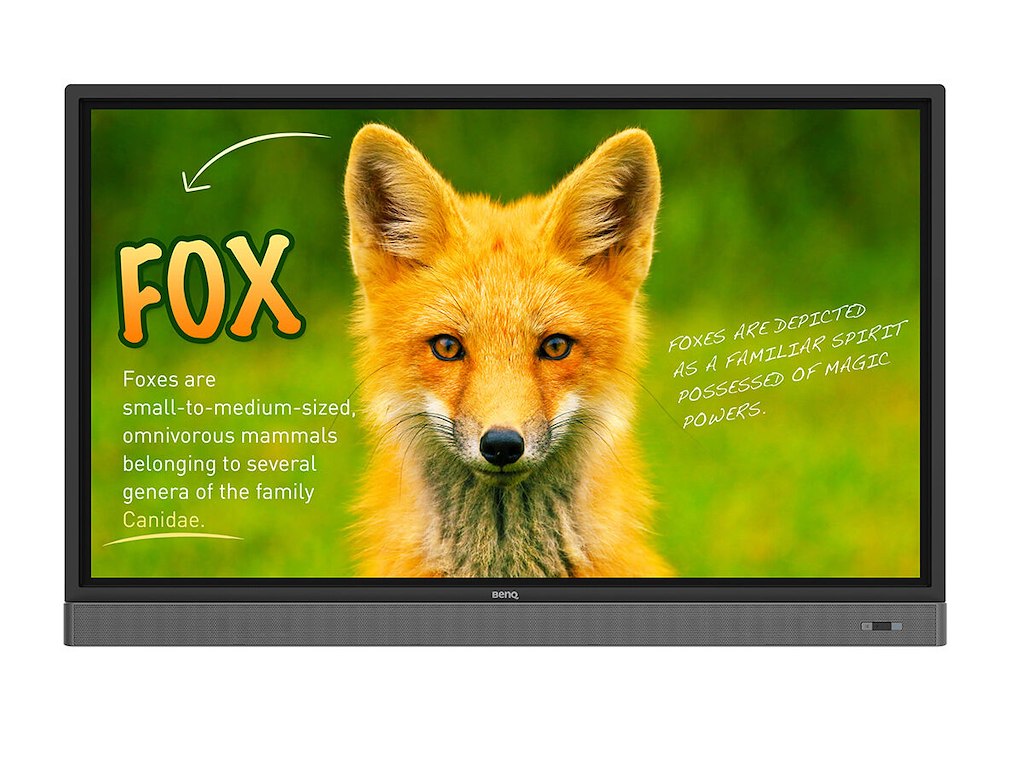 BenQ Rp653k Interaktivt fladpanel 165,1 cm (65") LED 450 cd/m² 4K Ultra HD Sort Berøringsskærm