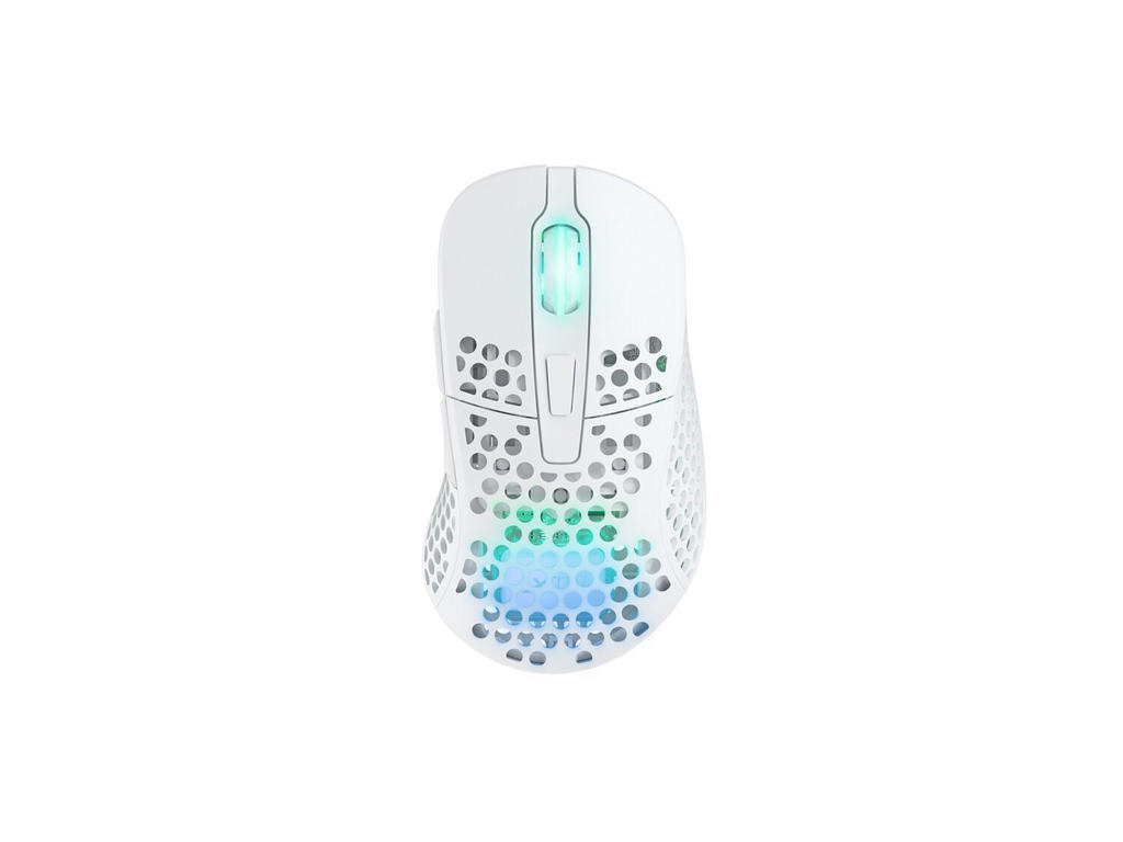 CHERRY XTRFY M4 RGB mus Spil Højre hånd RF Wireless + USB Type-C Optisk 19000 dpi