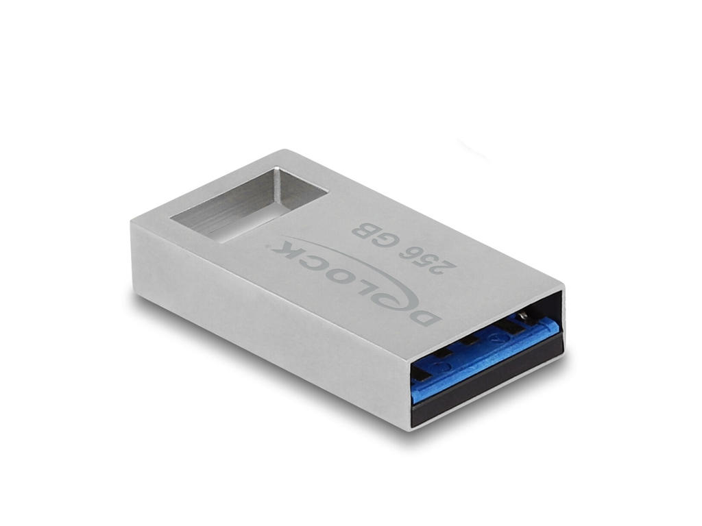 DeLOCK 54006 USB-nøgle 256 GB USB Type-A 3.2 Gen 1 (3.1 Gen 1) Grå