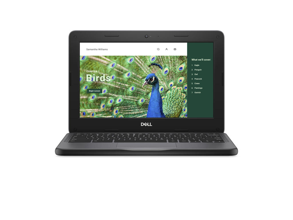 DELL Chromebook 3120 Intel® N N100 29,5 cm (11.6") Berøringsskærm HD 4 GB LPDDR5-SDRAM 64 GB eMMC Wi-Fi 6 (802.11ax) ChromeOS Nordisk Sort