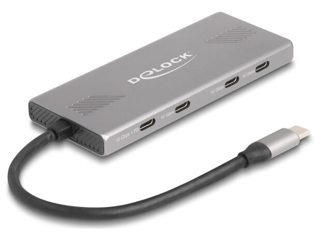 DeLOCK 64313 interface hub USB 3.2 Gen 2 (3.1 Gen 2) Type-C 10000 Mbit/s Grå