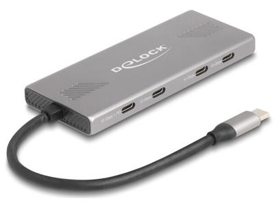 DeLOCK 64313 interface hub USB 3.2 Gen 2 (3.1 Gen 2) Type-C 10000 Mbit/s Grå