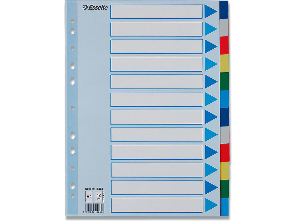 Faneblade, A4, 12-delt, Flerfarvet, Esselte 