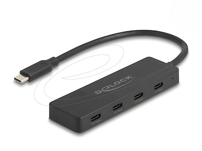 DeLOCK 64322 interface hub USB 3.2 Gen 2 (3.1 Gen 2) Type-C 10000 Mbit/s Sort