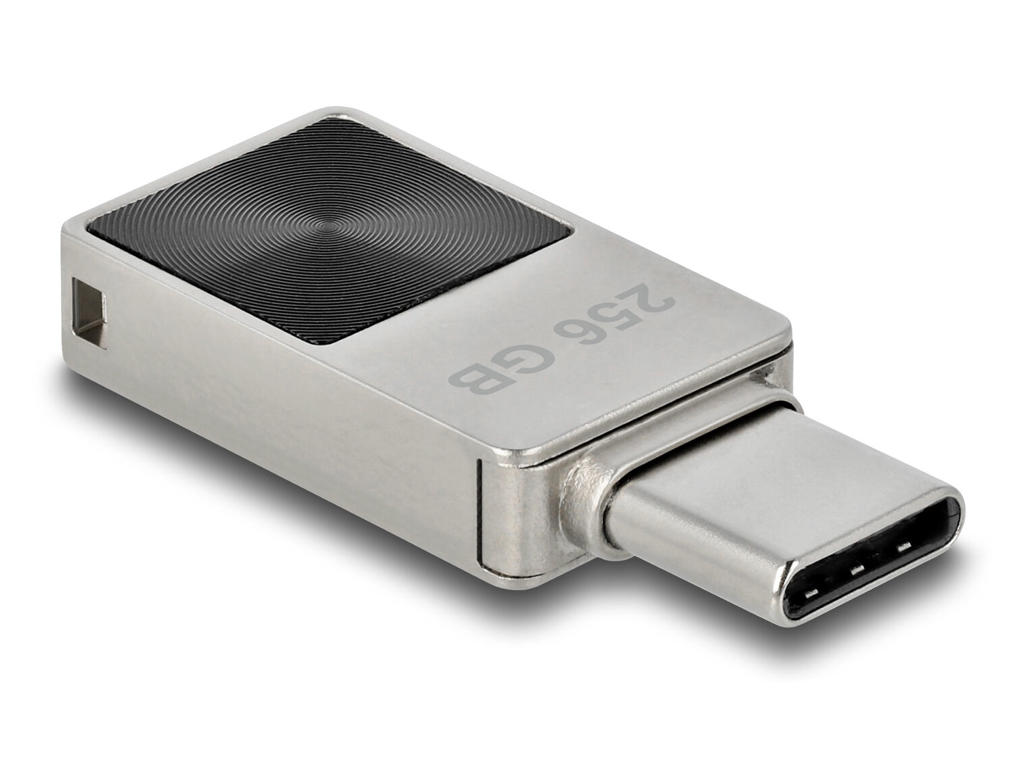 DeLOCK 54009 USB-nøgle 256 GB USB Type-C 3.2 Gen 1 (3.1 Gen 1) Sort, Grå