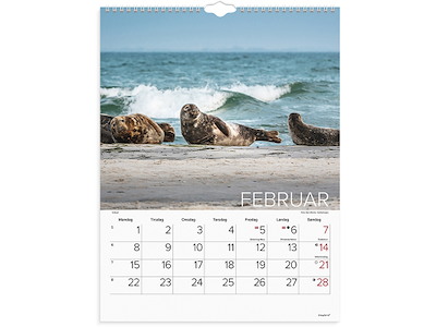 Vægkalender, 2027, Verdens dyr, 1 måned pr. opslag, Mayland