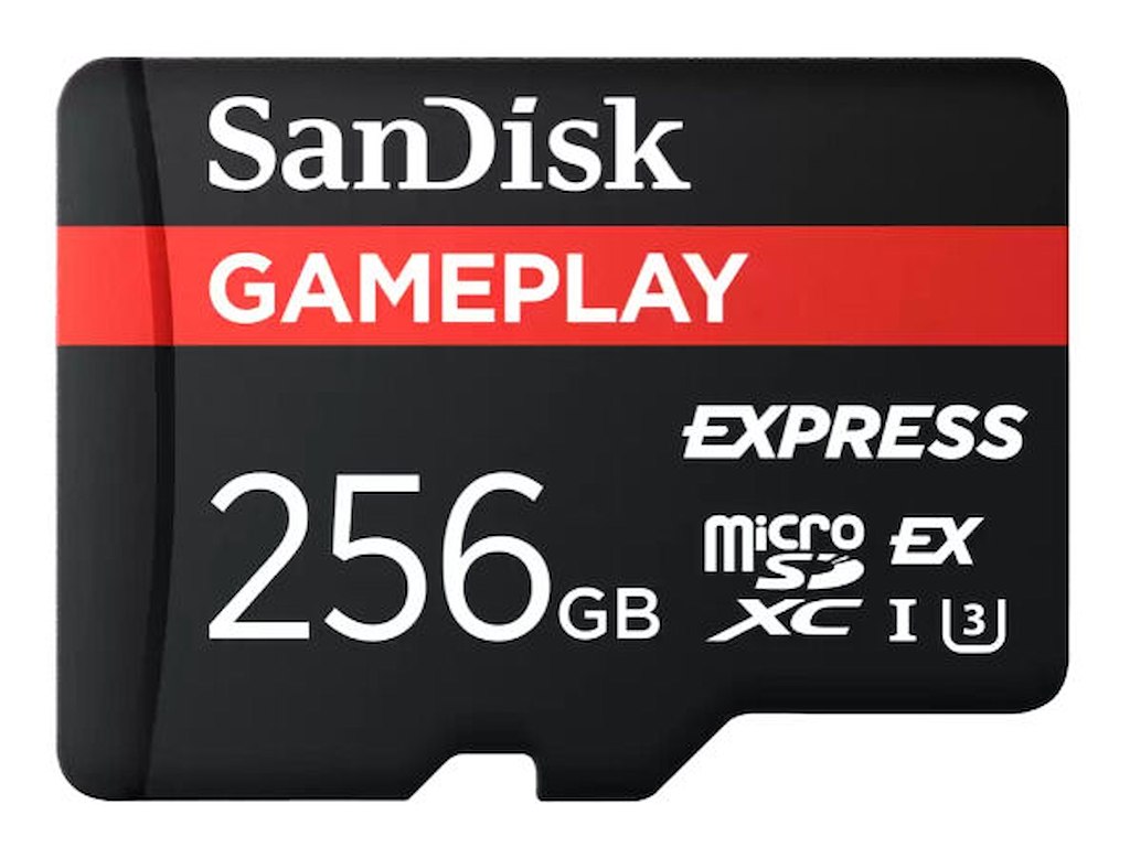 SanDisk GamePlay Express microSD 256GB Klasse 10