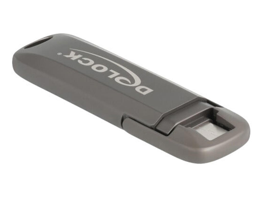 DeLOCK 54013 USB-nøgle 512 GB USB Type-C Grå