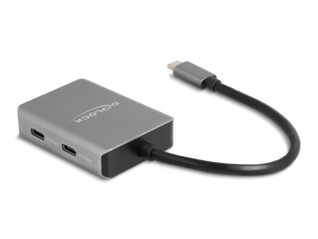 DeLOCK 64249 interface hub USB Type-C 10000 Mbit/s Sort, Grå