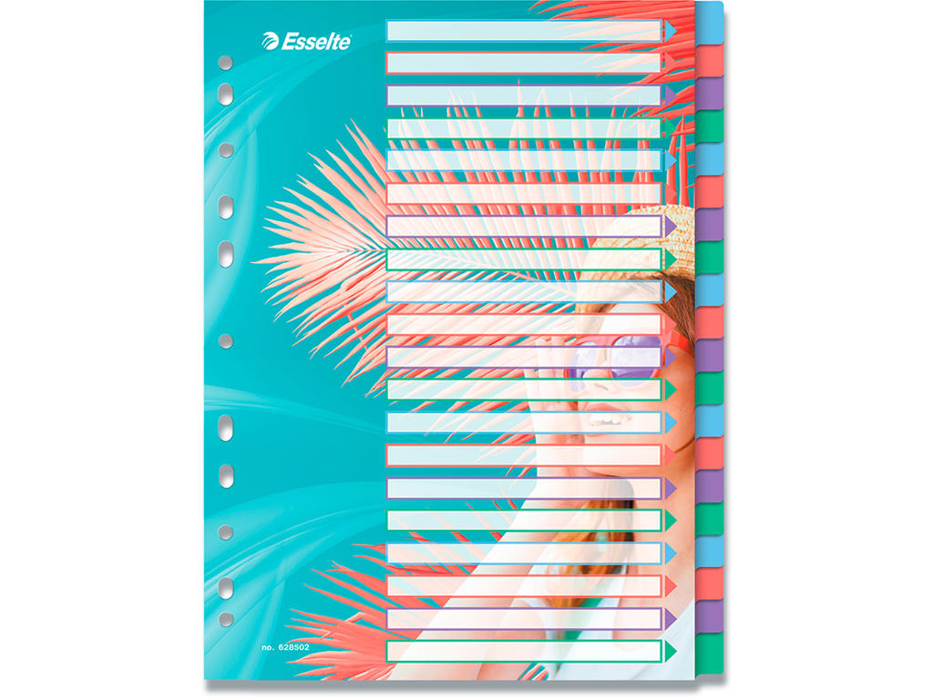 Faneblade, A4, 20-delt, Flerfarvet, Esselte Colour'Breeze 