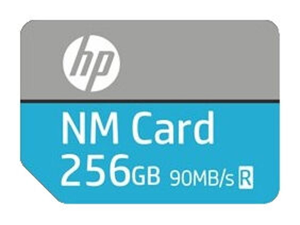HP NM100 256 GB MicroSD UHS-III Klasse 10