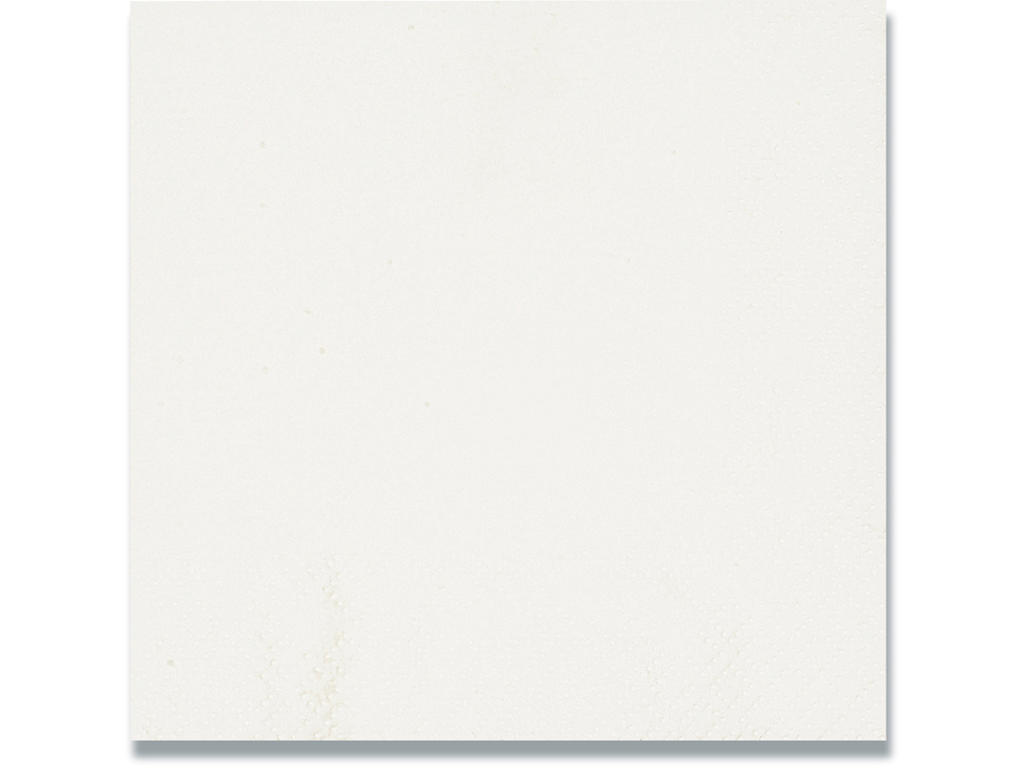 Servietter, 2 lag, Hvid, 33x33 cm, 100 stk, Gastro