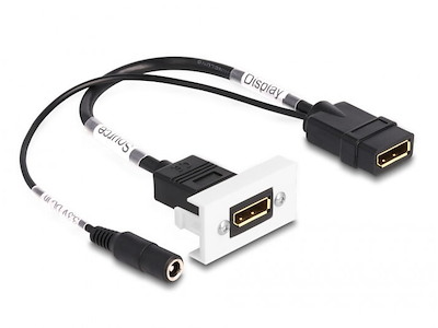 DeLOCK 81385 DisplayPort kabel 0,3 m Sort, Hvid
