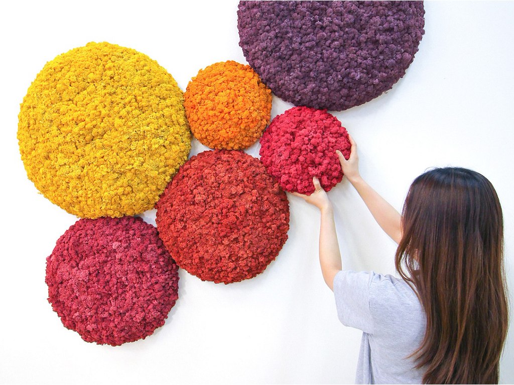 Nordgröna Lyddæmpning