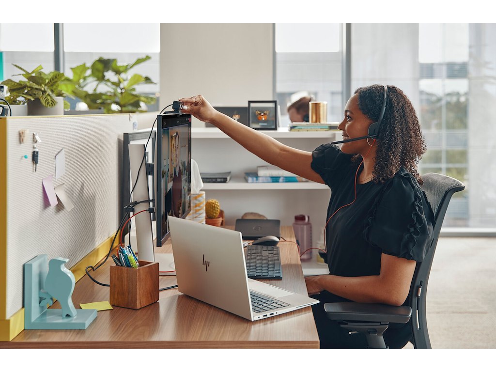 HP Poly Blackwire 3225 Stereo USB-C Headset +3.5mm Plug +USB-C/A Adapter