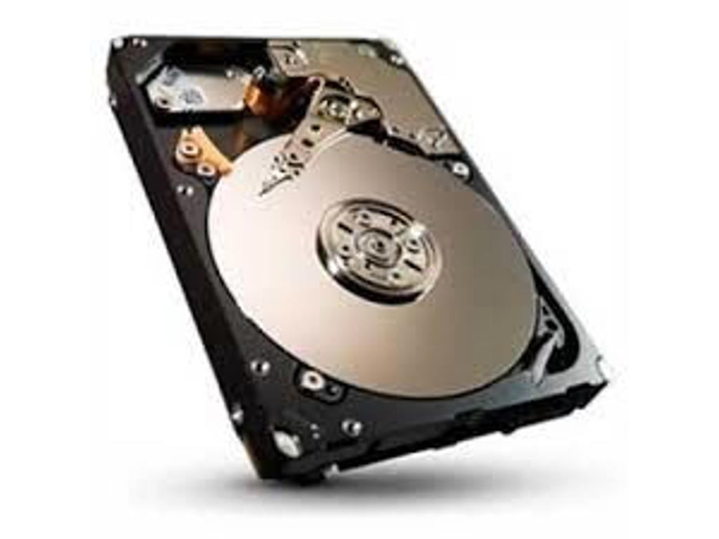 Lenovo FRU04W1950 harddisk 320 GB