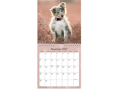 Vægkalender, 2027, Mini, Hundehvalpe, 1 måned pr. opslag, Mayland