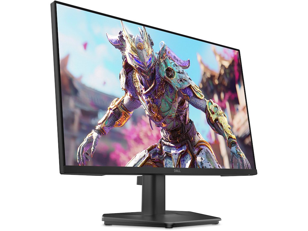 DELL SE2426HG computerskærm 60,5 cm (23.8") 1920 x 1080 pixel Fuld HD LCD Sort