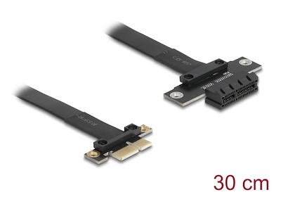 DeLOCK 81297 intern strømkabel 0,3 m