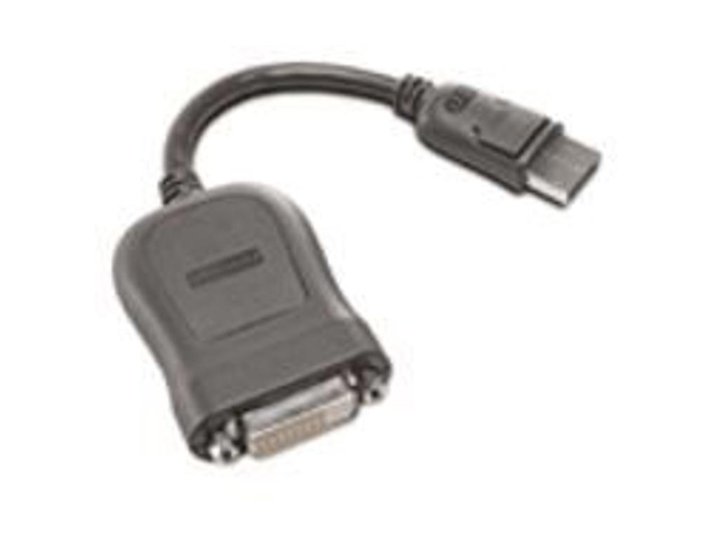 Lenovo 45J7915 videokabel adapter 0,2 m DVI-D DisplayPort Sort