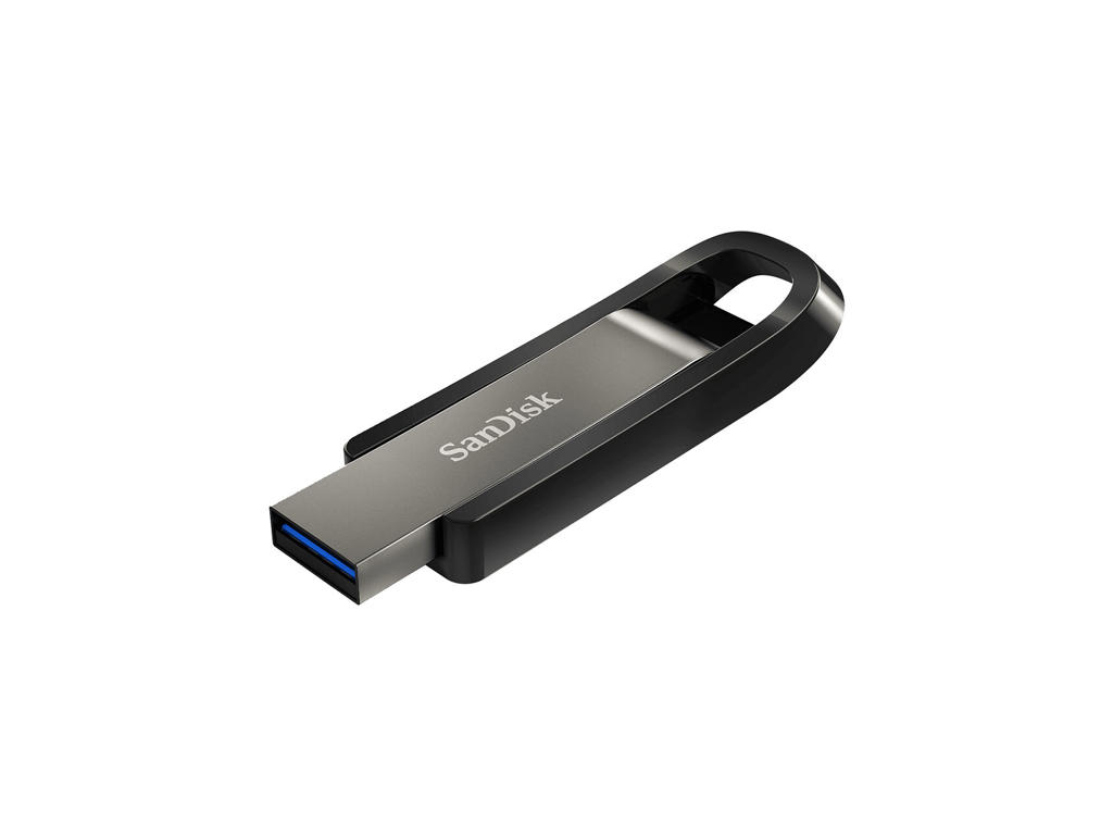 SanDisk Extreme Go USB-nøgle 256 GB USB Type-A 3.2 Gen 1 (3.1 Gen 1) Rustfrit stål