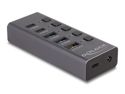 DeLOCK 64248 interface hub USB 3.2 Gen 1 (3.1 Gen 1) Type-C 5000 Mbit/s Grå