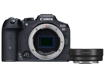 Canon EOS R7 + EF- R MILC Body 32.5 MP CMOS 6960 x 4640 pixels Black
