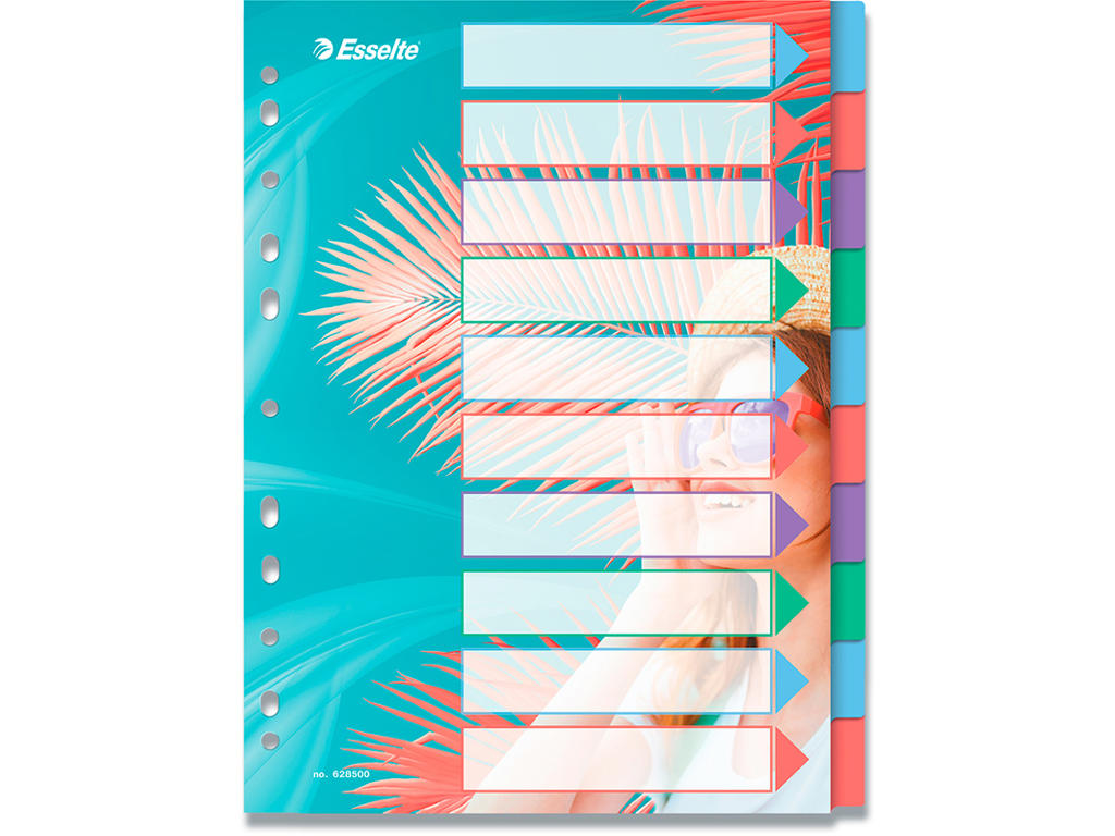 Faneblade, A4, 10-delt, Flerfarvet, Esselte Colour'Breeze 