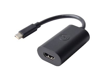 DELL DAYANBC084 videokabel adapter 0,2 m Mini DisplayPort DisplayPort Sort